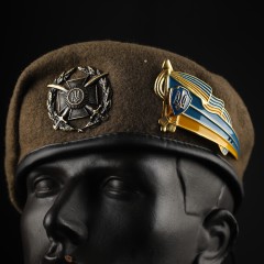 Берет Общевоенный ВСУ Капля степь в сборе с металлическим флажком