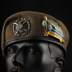 Берет Общевоенный ВСУ Капля степь в сборе с металлическим флажком