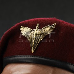 Берет ДШВ крапля в зборі марун