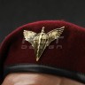 Берет ДШВ крапля в зборі марун 56 56