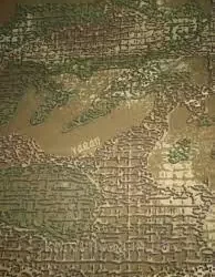 Тканина камуфляжна саржа Варан