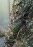 Костюм Горка Анорак Демисезонный Хищник с интегрированной защитой 40-42/3