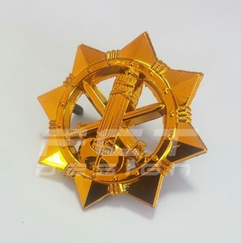 Беретний знак кокарда ВСП Військова Служба Правопорядку пластик  