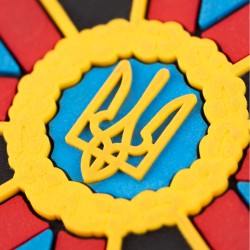Шеврон/патч резиновый ПВХ "ДСНС"