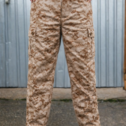 Штани зимові на синтепоні фліс саржа Digital Desert