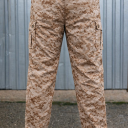 Штани зимові на синтепоні фліс саржа Digital Desert