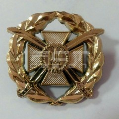 Беретний знак кокарда ЗСУ сухопутних військ України пластик