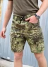Шорти тактичні ріп-стоп STURM Kryptek 40-42/3 40-42/3
