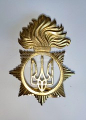 Беретний знак кокарда НГУ Національної Гвардії України Полум'я метал