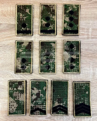 Погони та шеврони НГУ чорна нитка Хижак