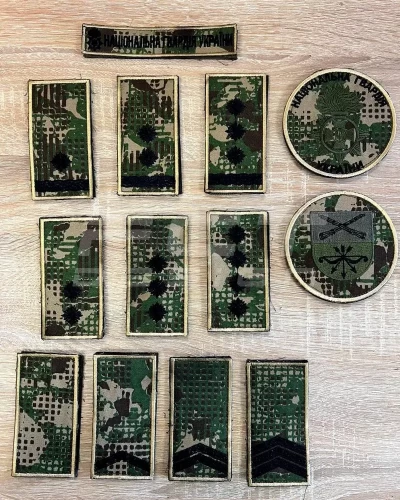 Погони та шеврони НГУ чорна нитка Хижак