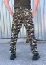 Штани літні Джоггер тактичні НАТО дрібний (ТІЛЬКИ 48р) 48 48