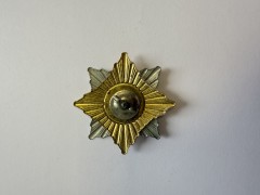 Знак нагрудний &quot;Військово-морські сили&quot; орден троянда вітрів