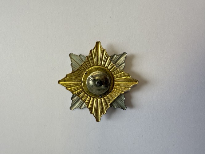 Знак нагрудний "Морська піхота" орден троянда вітрів  