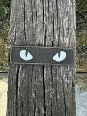 Шеврон/патч вишитий очі кота хакі