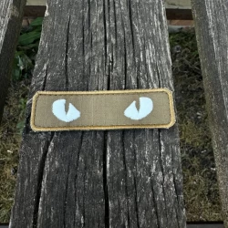 Шеврон/патч вишитий очі кота койот