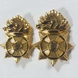 Петлицы на ворот Нацгвардии Украины металл