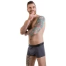 Мужские анатомические боксеры из хлопка Anatomic Classic 2.0 Black Series графитовый S