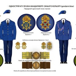 Форма НГУ парадно