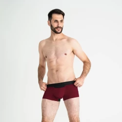 Мужские анатомические боксеры из хлопка с сеткой Anatomic Classic Light Black Series бордовый