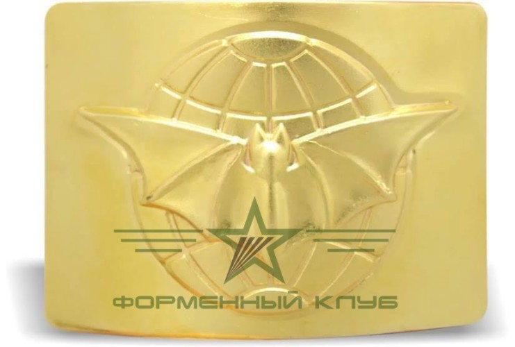 Бляха Військова Розвідка